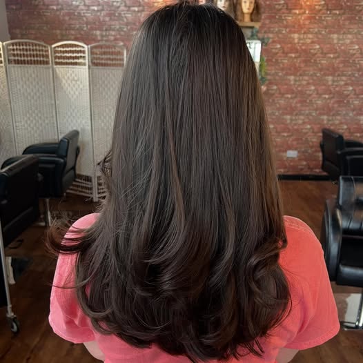 Brunette cut and blow dry